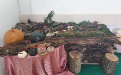 Pisančki – naši čarobni trenutki v gozdu in vrtcu 🌳✨